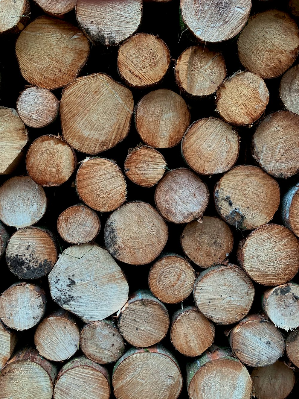 a pile of wood that is cut in half