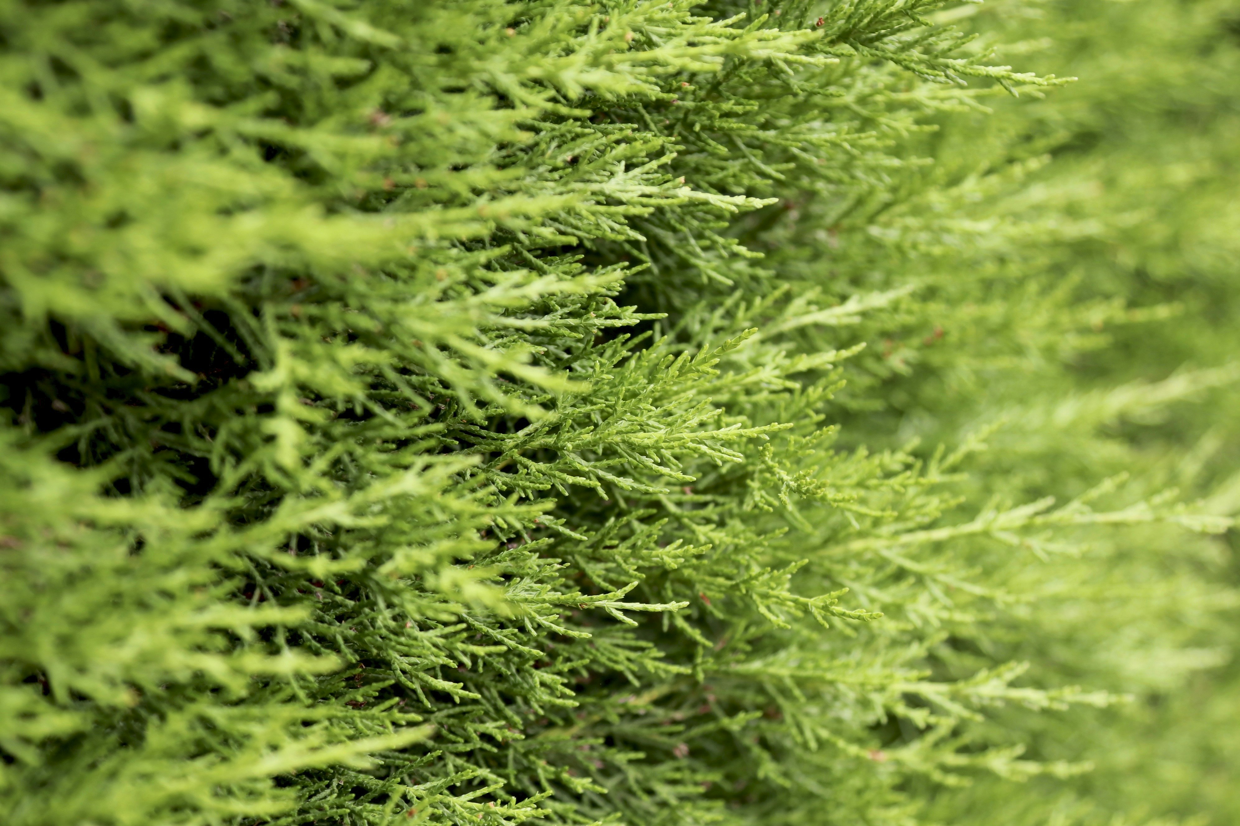 Adaptive Liquidity Hedging with Edge Signals: Advanced Strategies for 2026