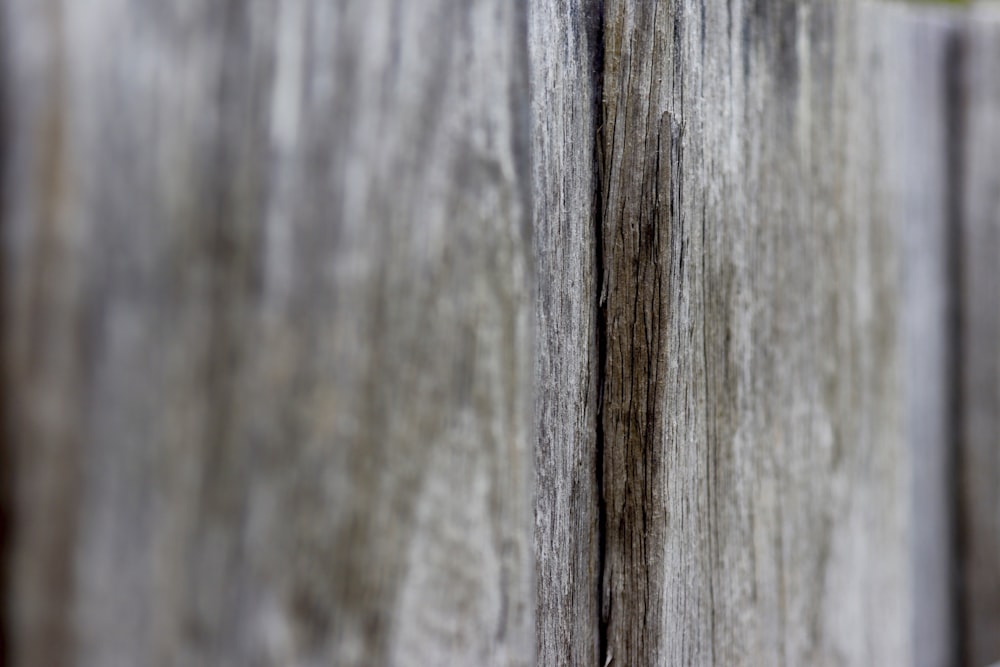 a close up of a wooden fence with a bird perched on top of it