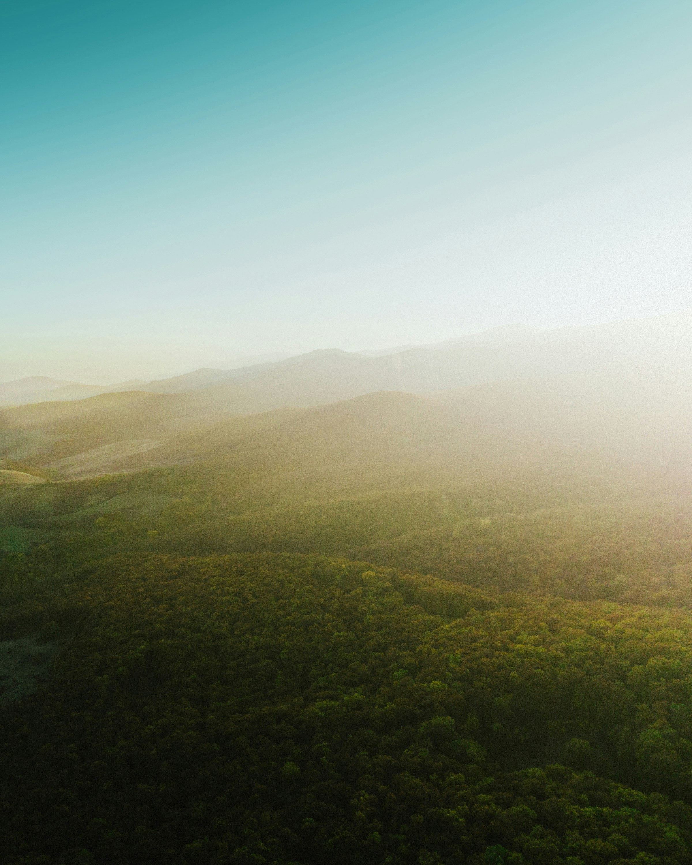 Photo by luisgherasim