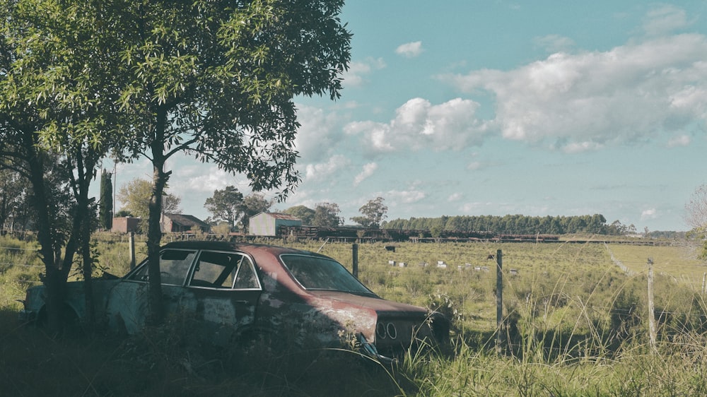 um carro velho sentado em um campo ao lado de uma árvore