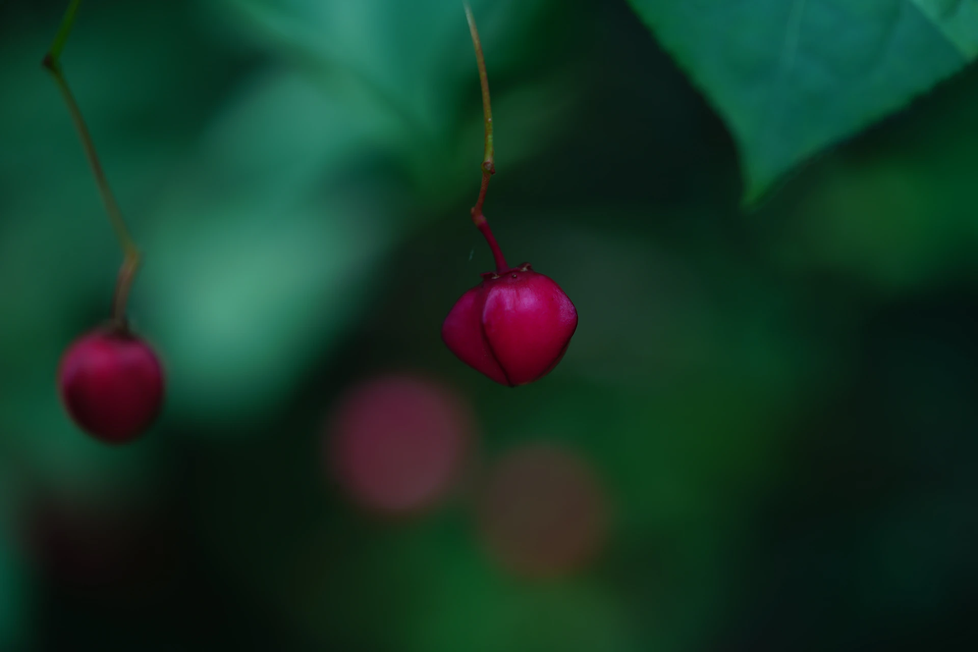 woman wearing yellow long-sleeved dress under white clouds and blue sky during daytime