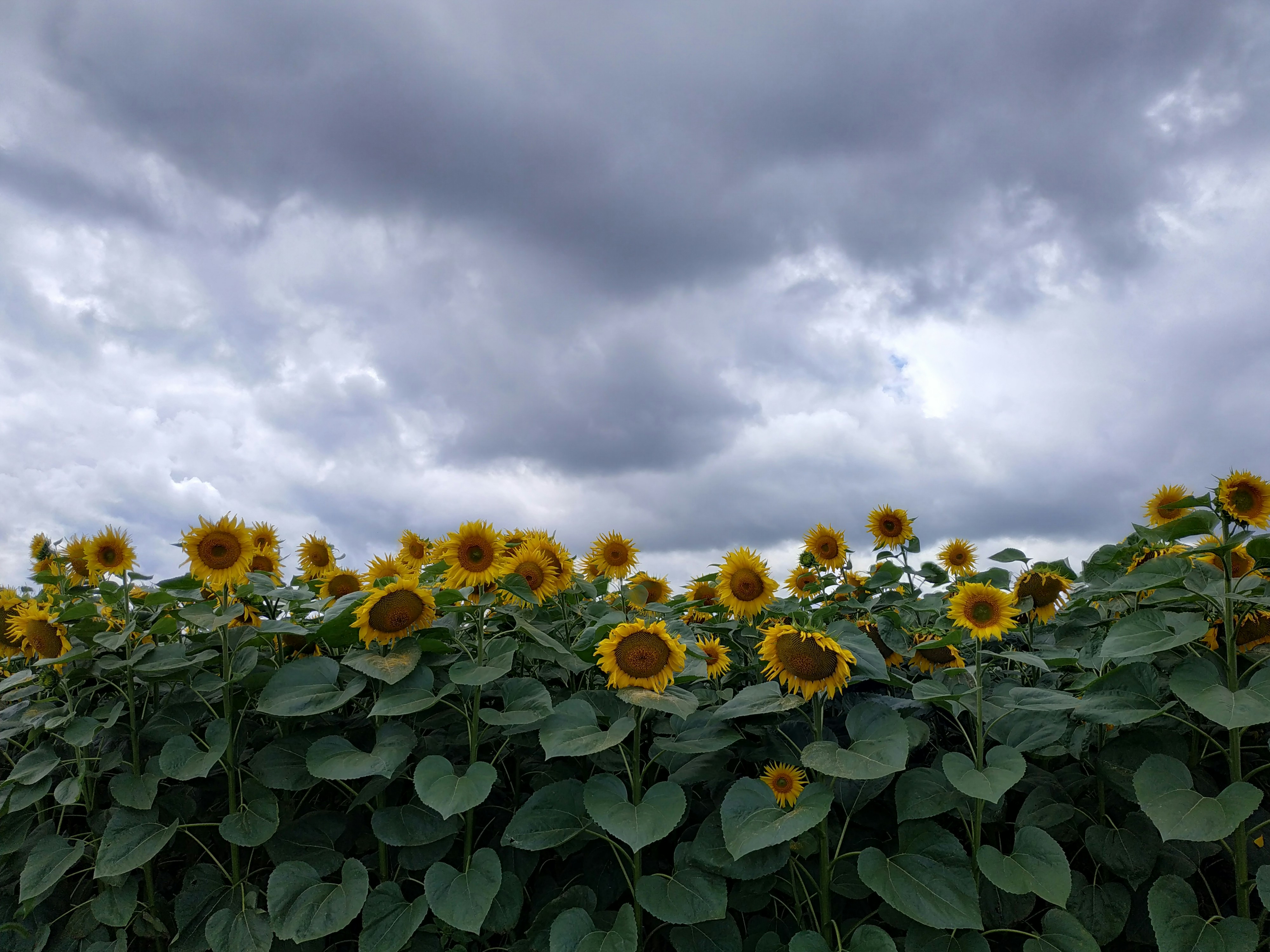 Photo by helen_zahrai