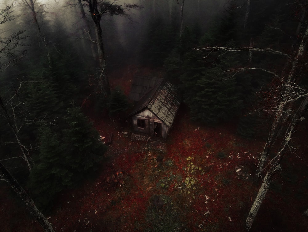 Una casa en medio de un bosque