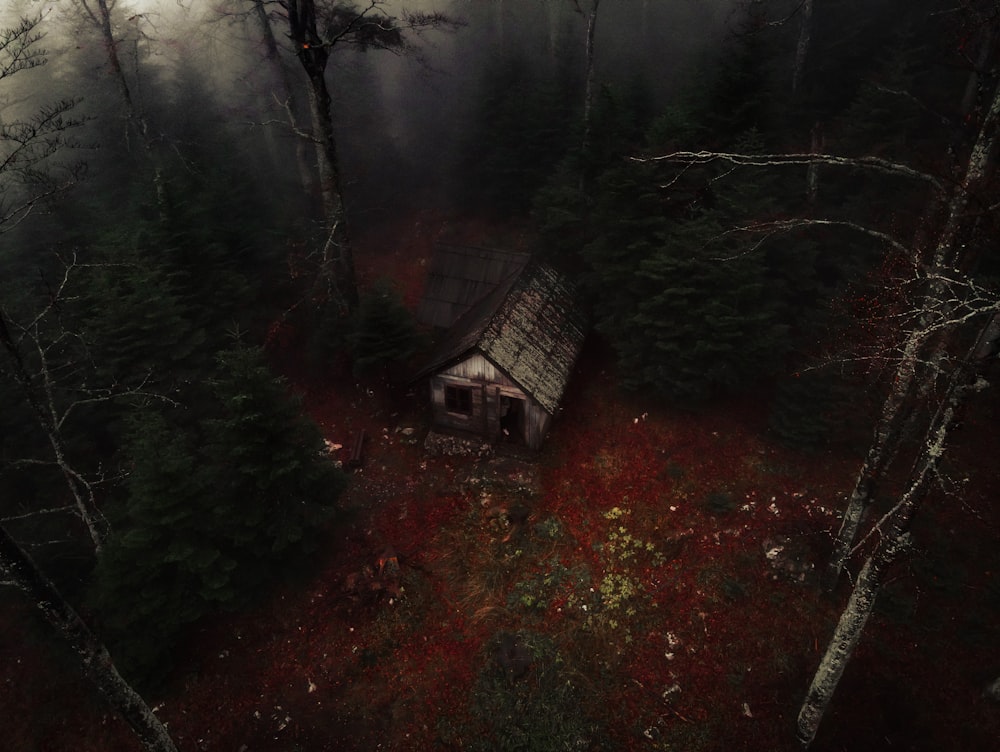 a house in the middle of a forest