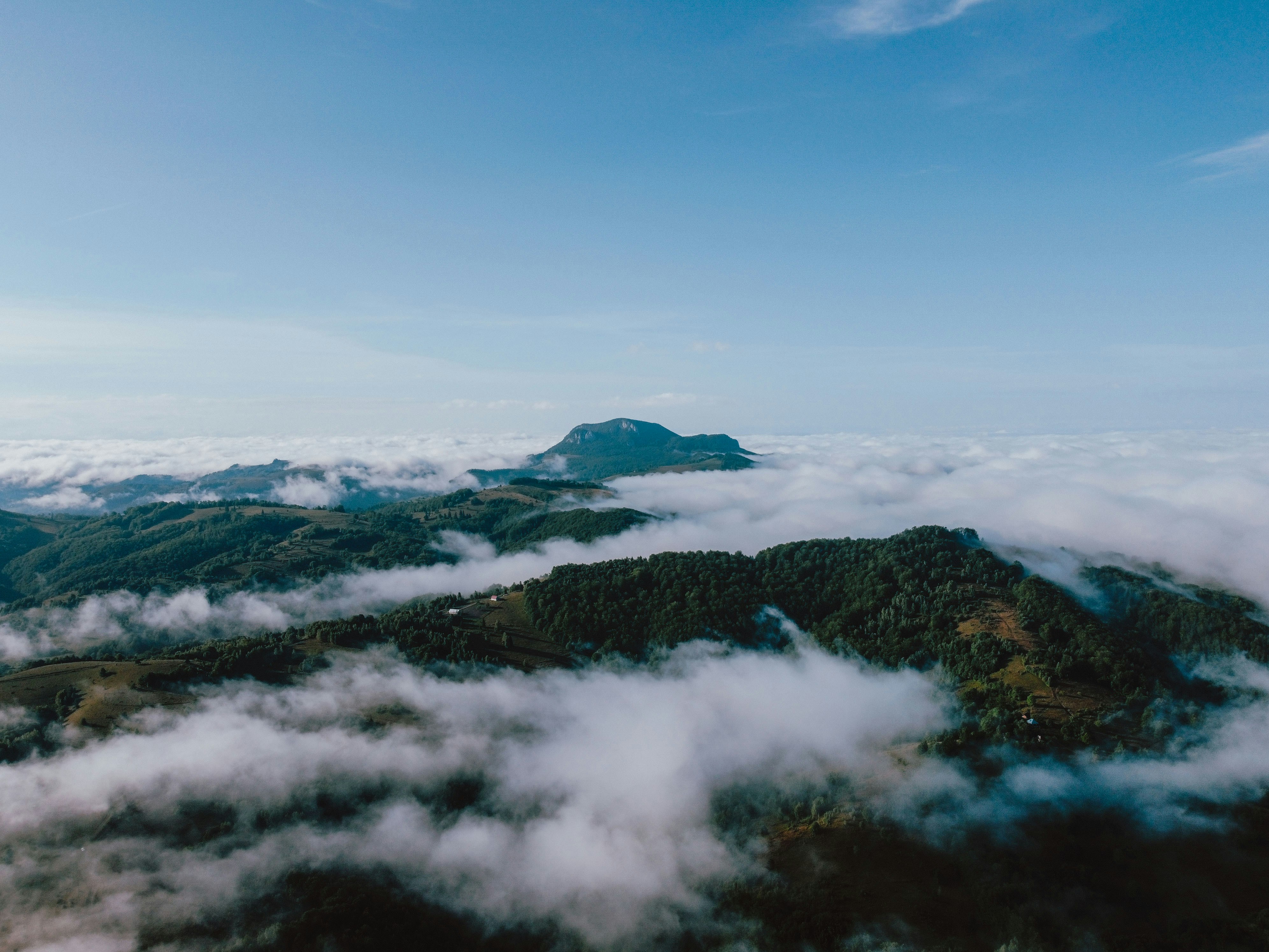 Photo by luisgherasim