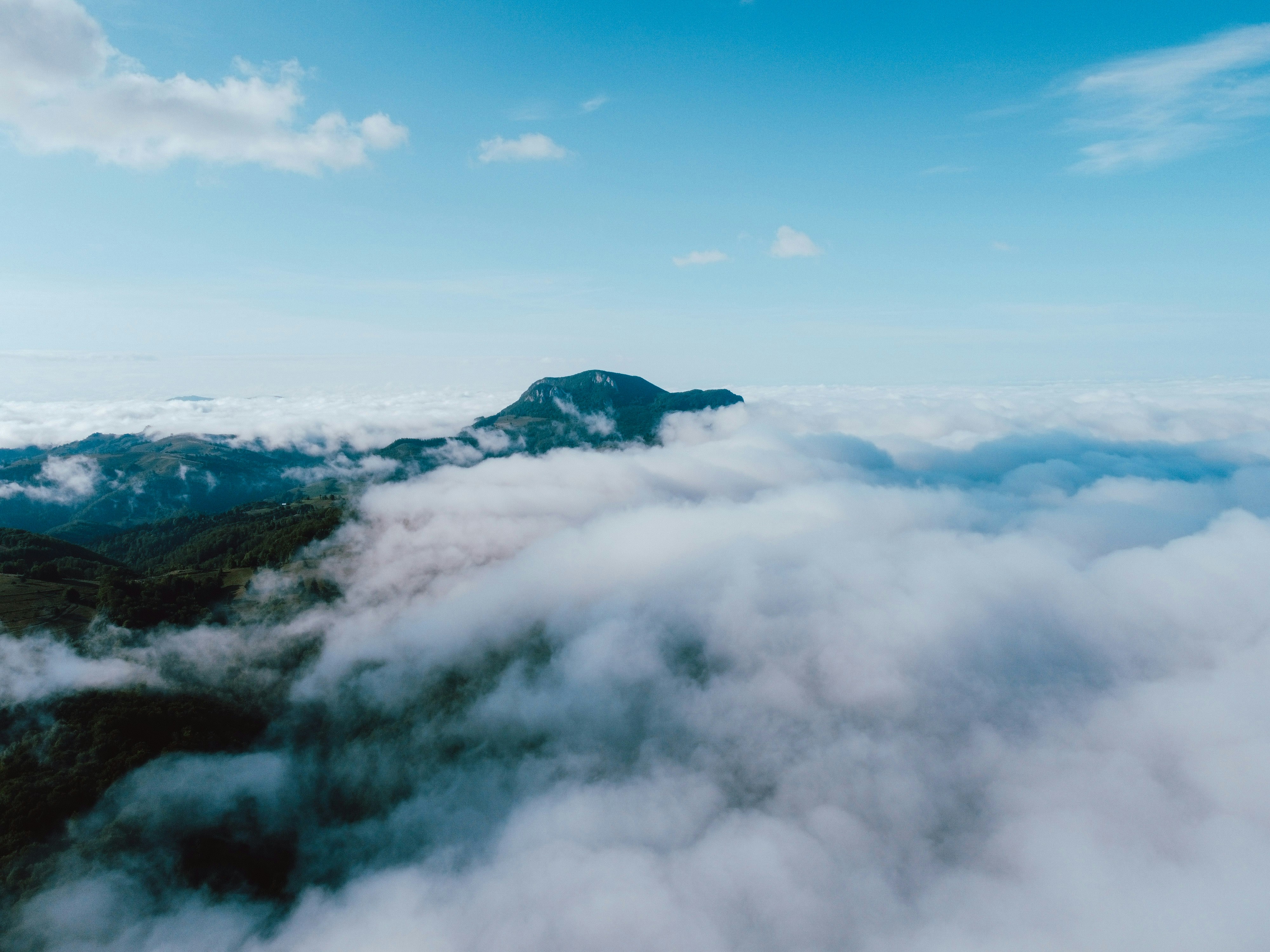 Photo by luisgherasim