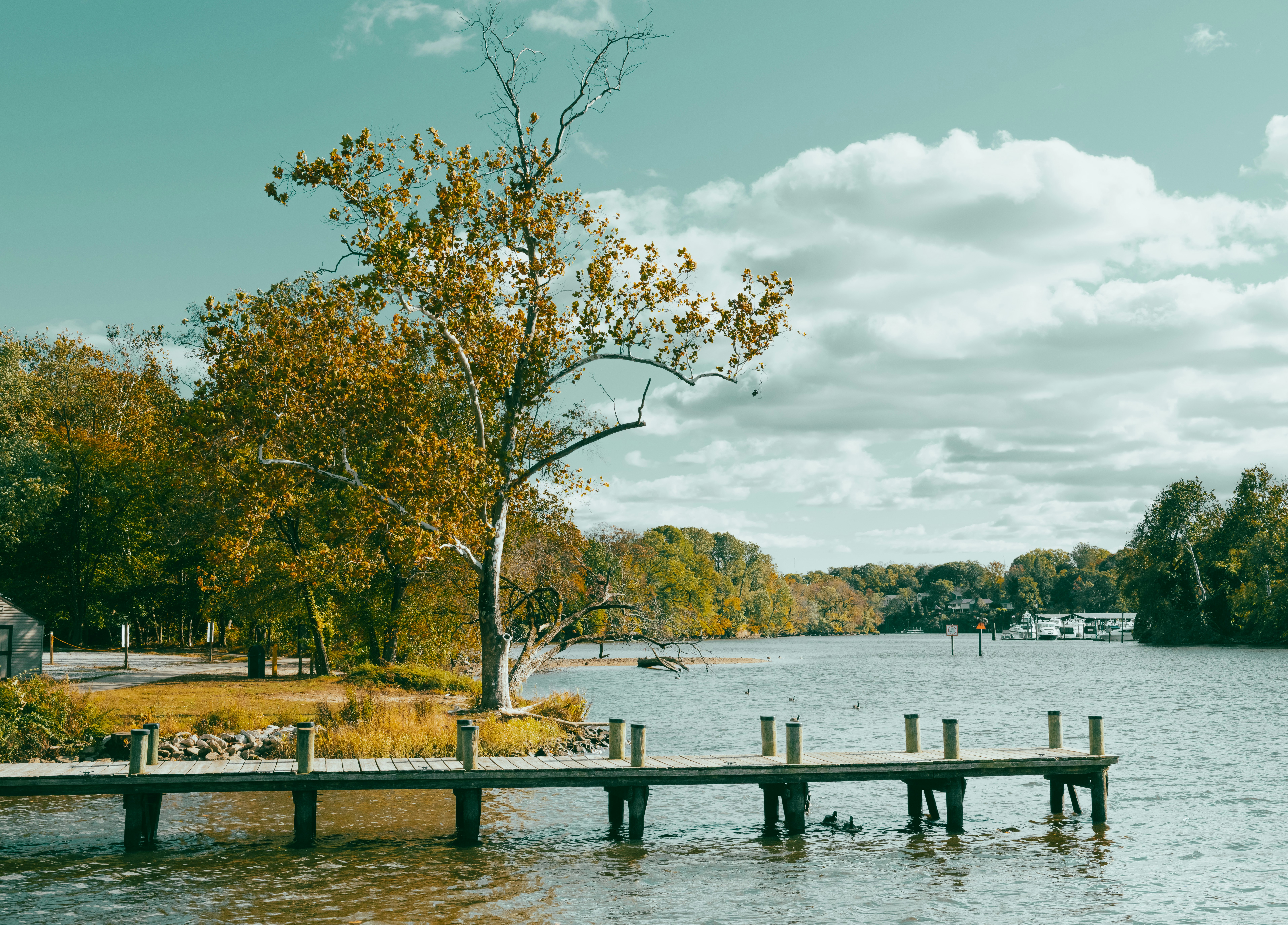 Photo by sriniunsplash