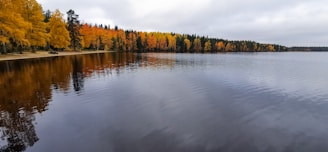 Calm lake reflecting autumn trees under a cloudy sky