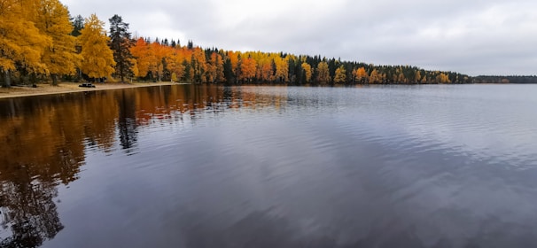 Calm lake reflecting autumn trees under a cloudy sky