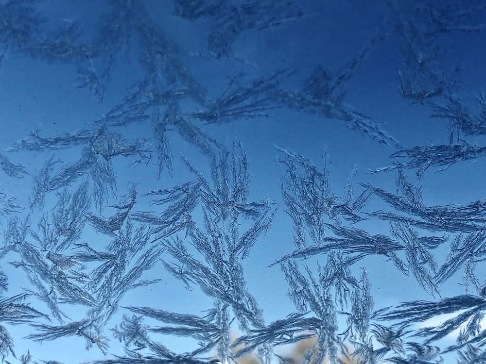 a close up of a window with frost on it