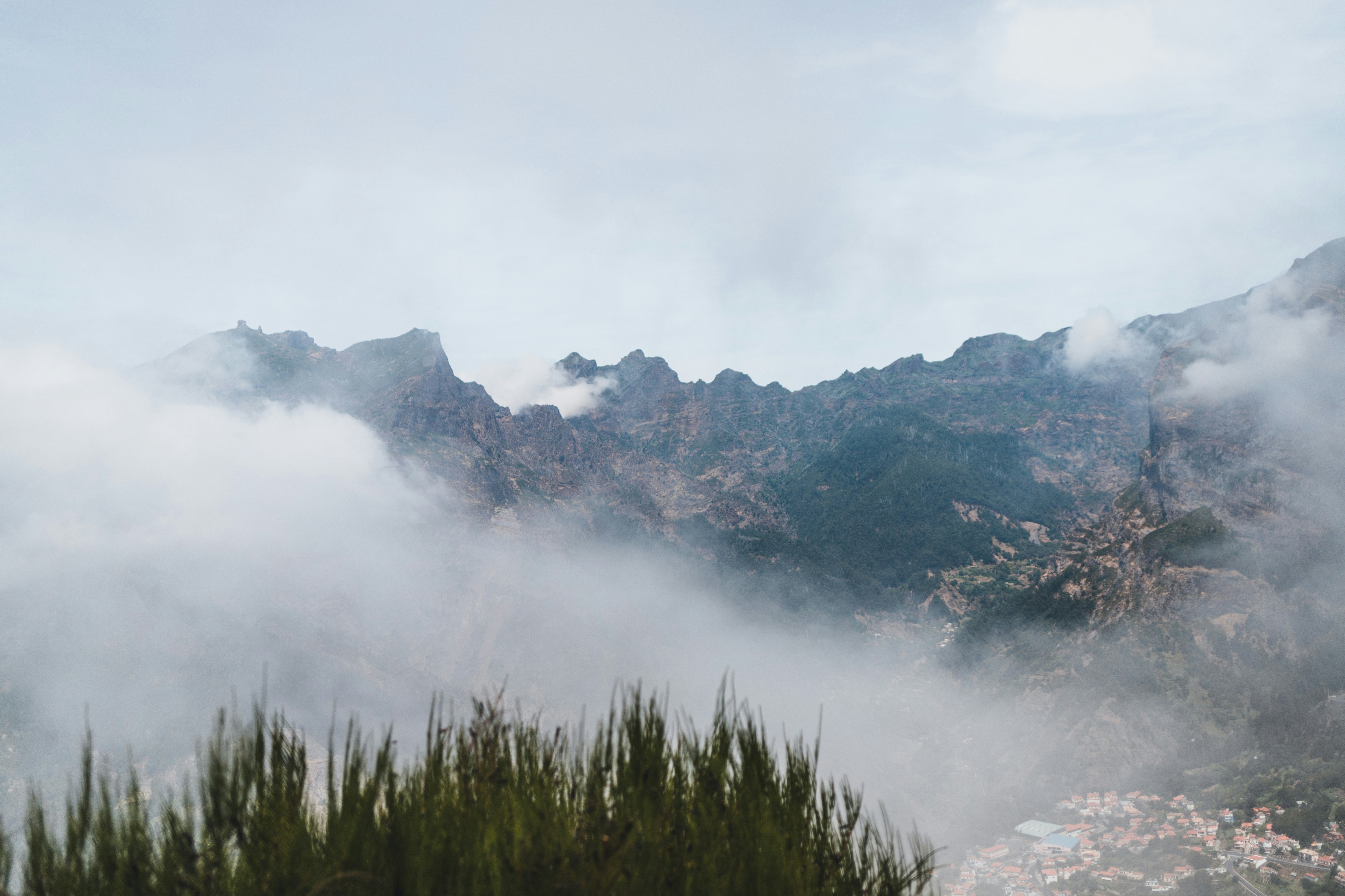 Photo by liliiahalt