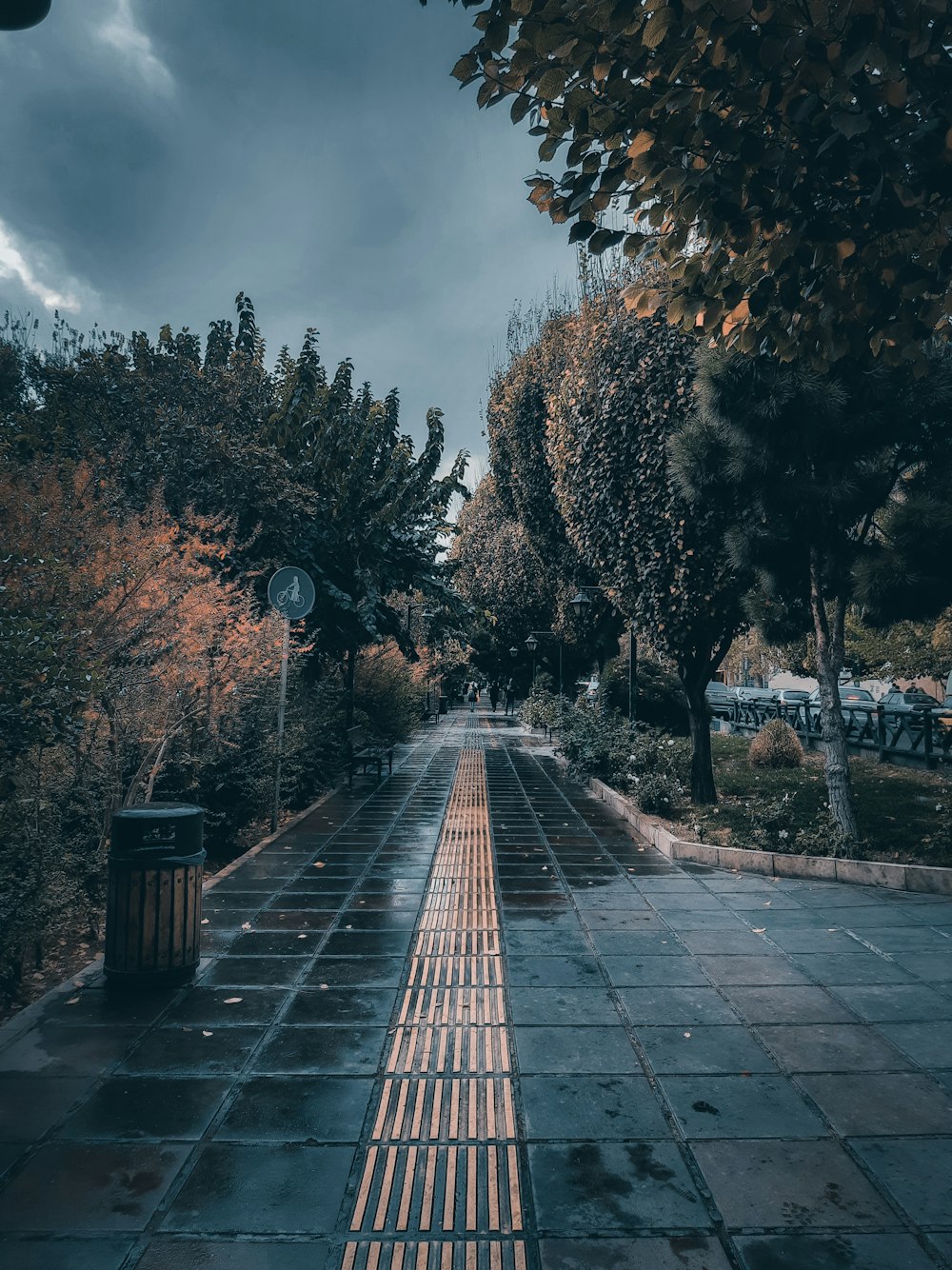 a street lined with lots of trees under a cloudy sky