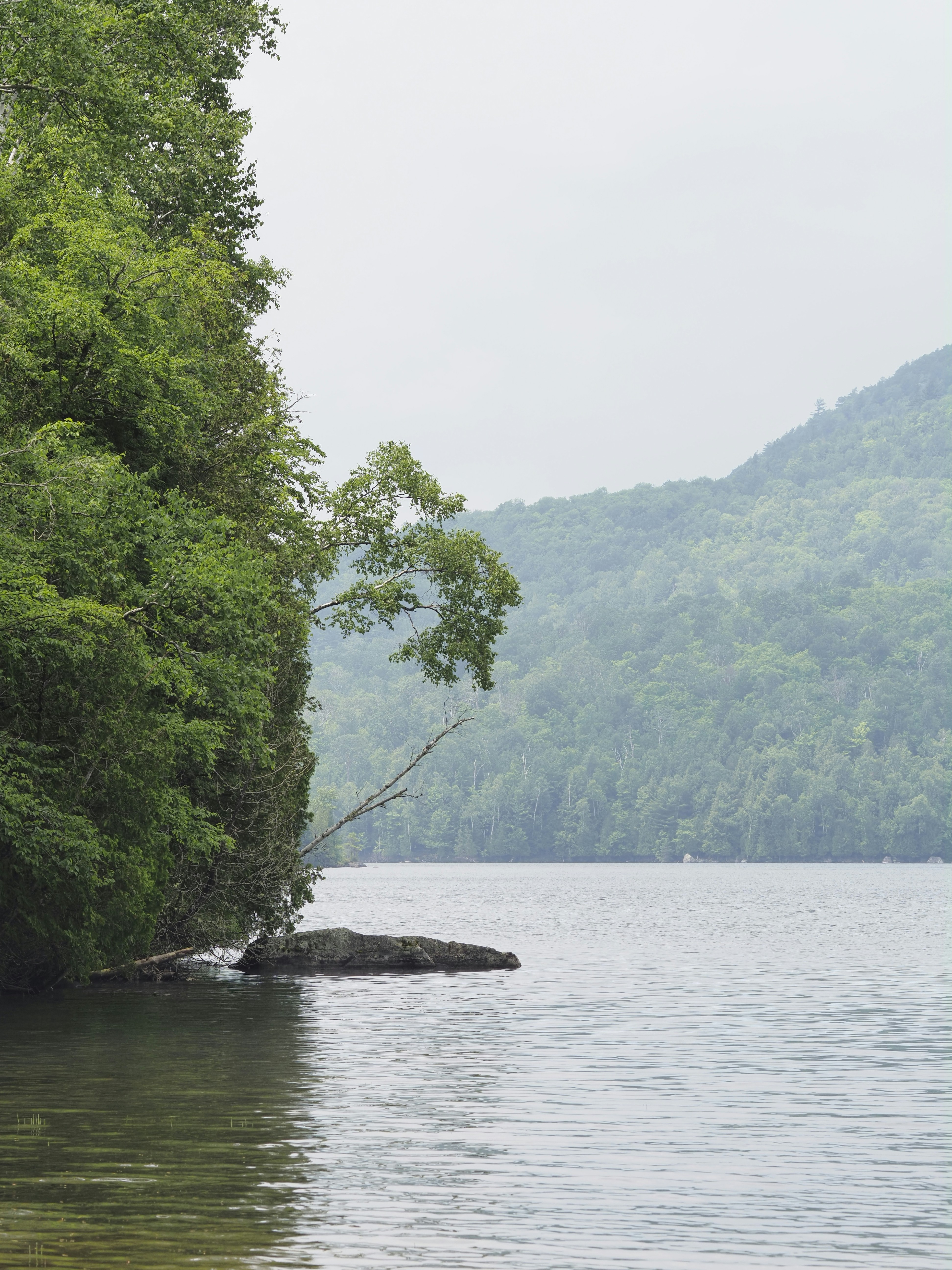 Photo by sergey_photos