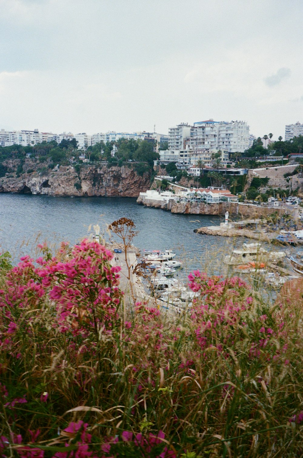 a body of water surrounded by lots of buildings