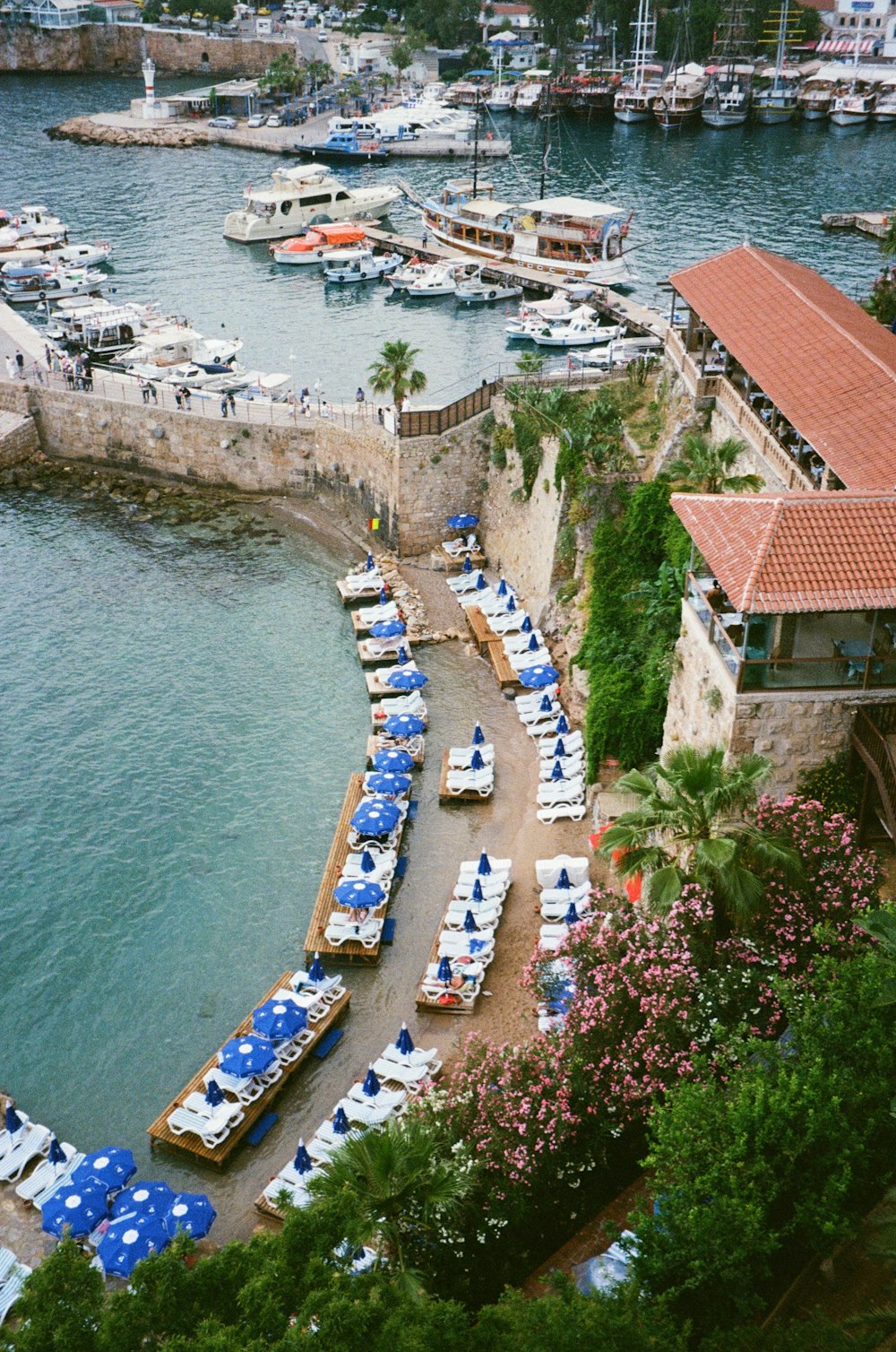 a group of boats docked at a marina