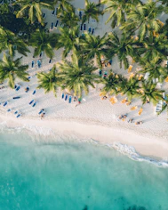 an aerial view of a beach with chairs and palm trees