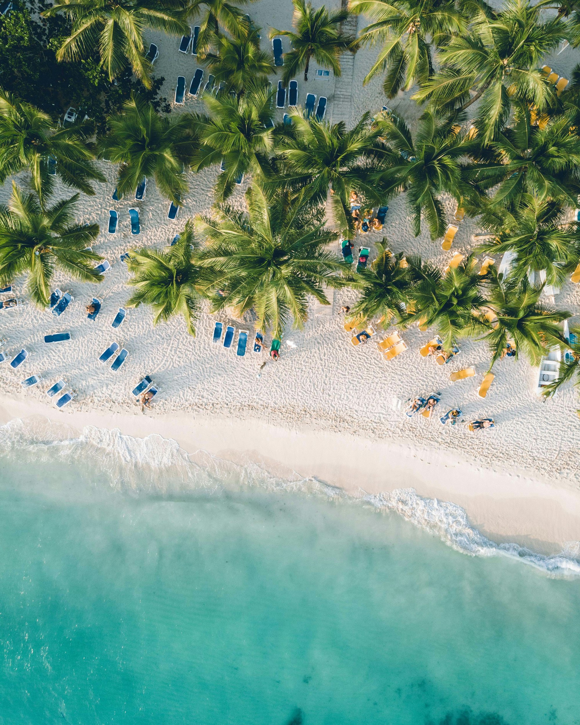 Uncovering Dominican Republic: Exploring Culture & Traditions