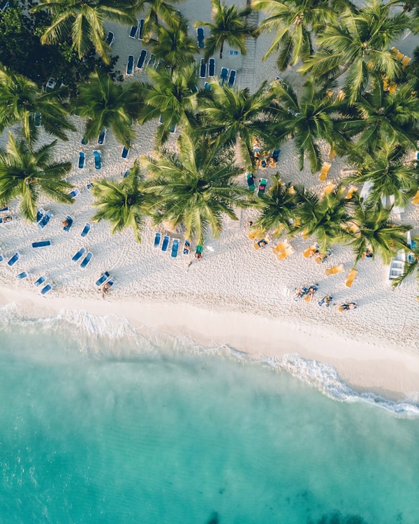 Uncovering Dominican Republic: Exploring Culture & Traditions