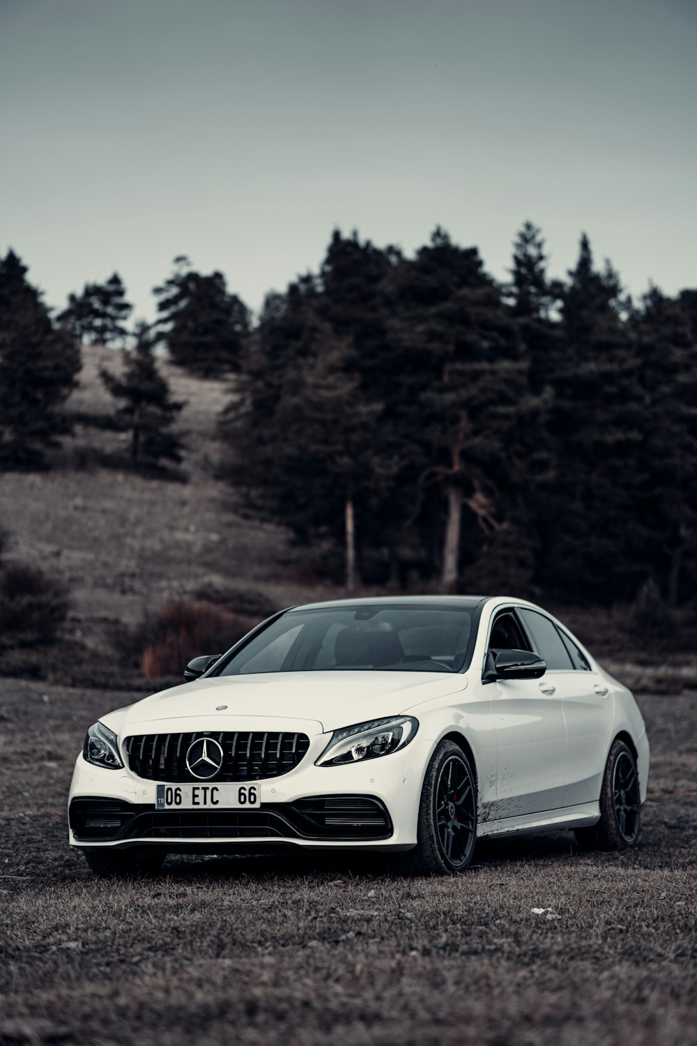 a white car parked in a field with trees in the background