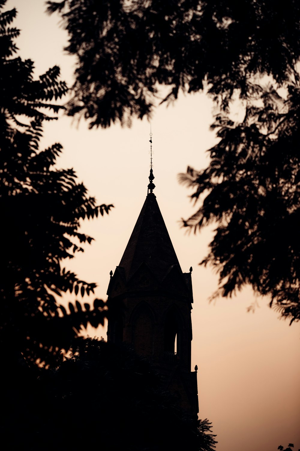 a church steeple is seen through the trees
