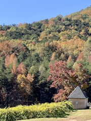 A simple, warm-toned illustration of the historic Fallsvale Schoolhouse surrounded by trees.
