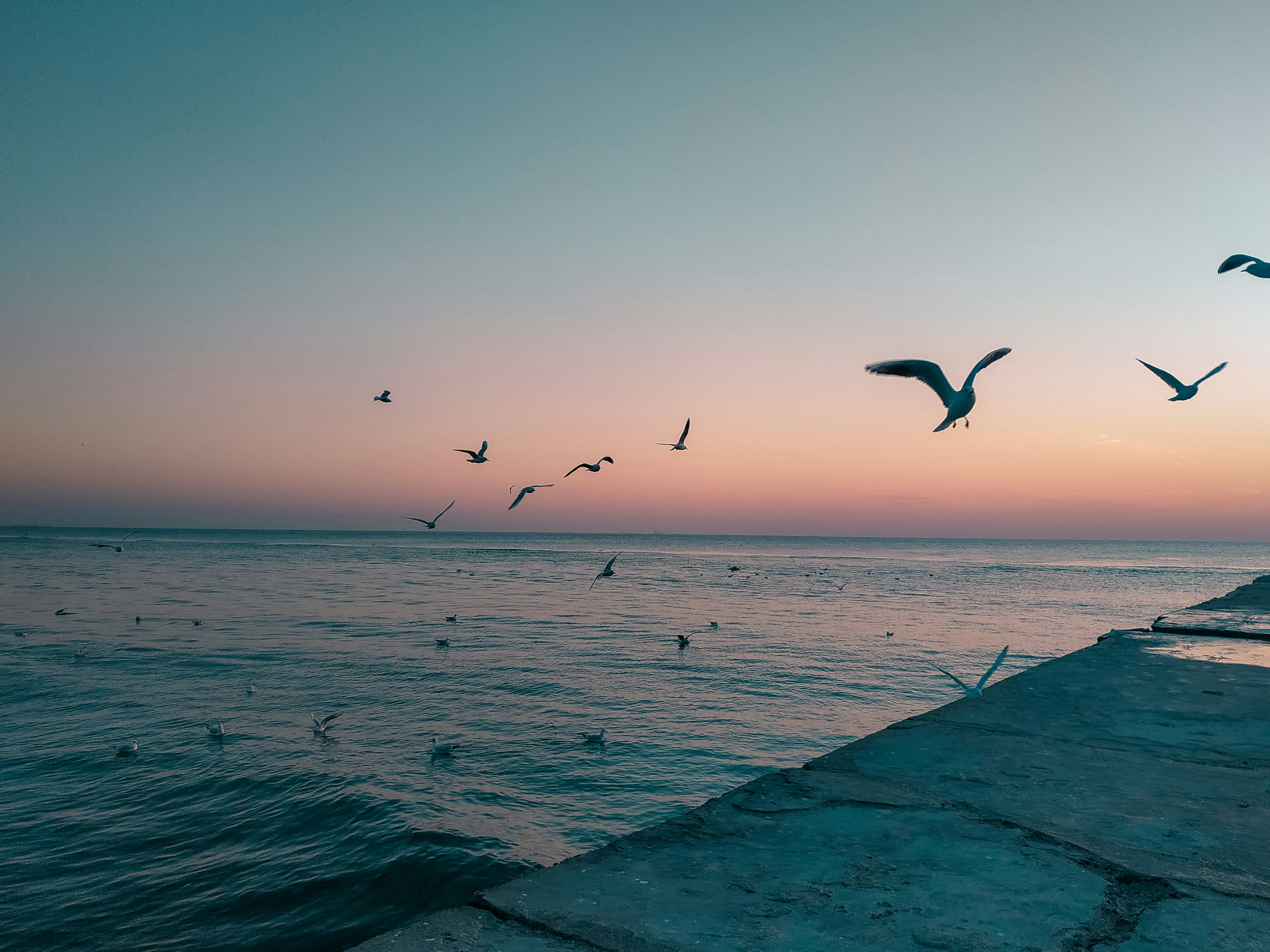 Photo by helen_zahrai