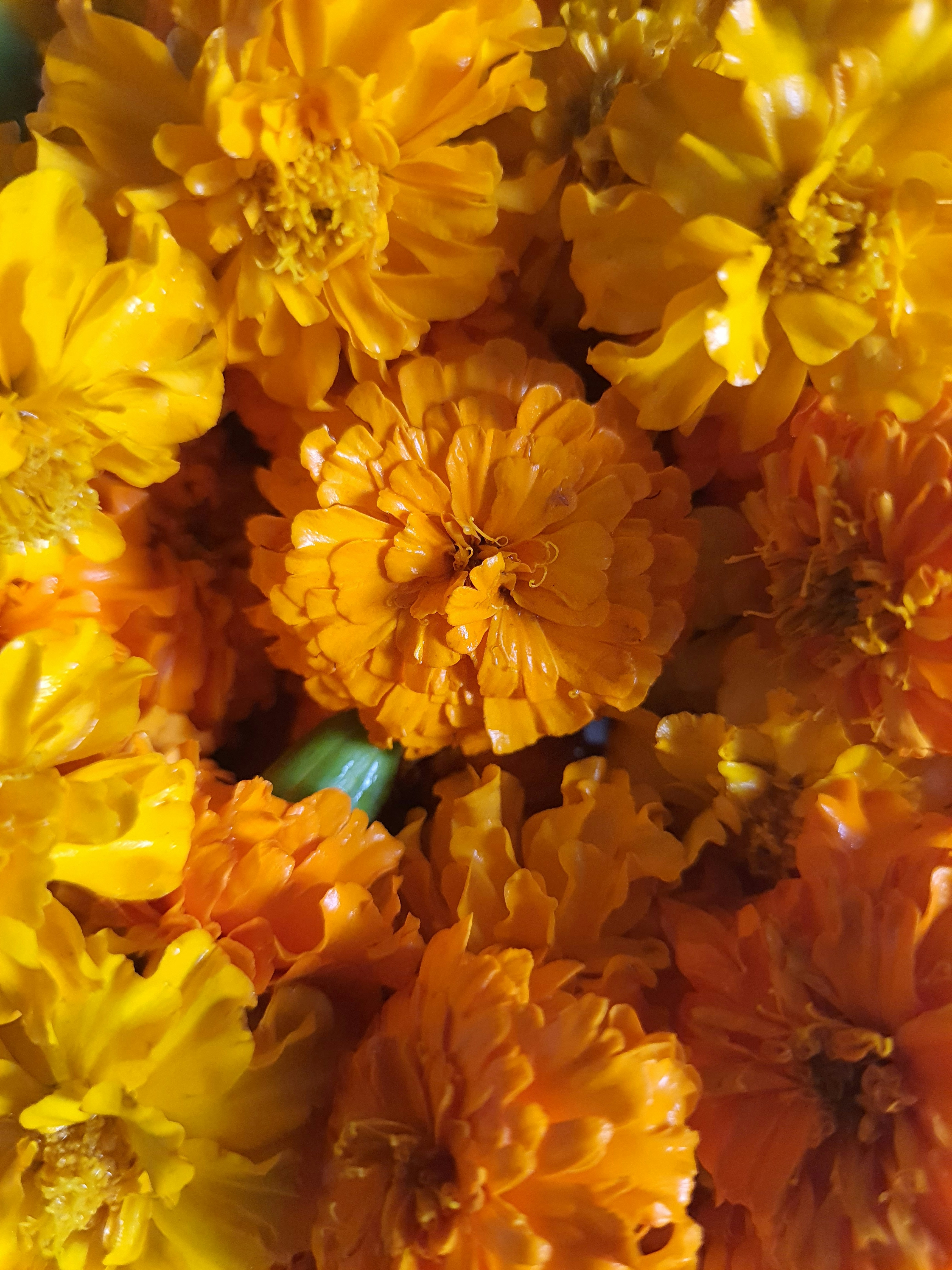 Photo by nishaofficial