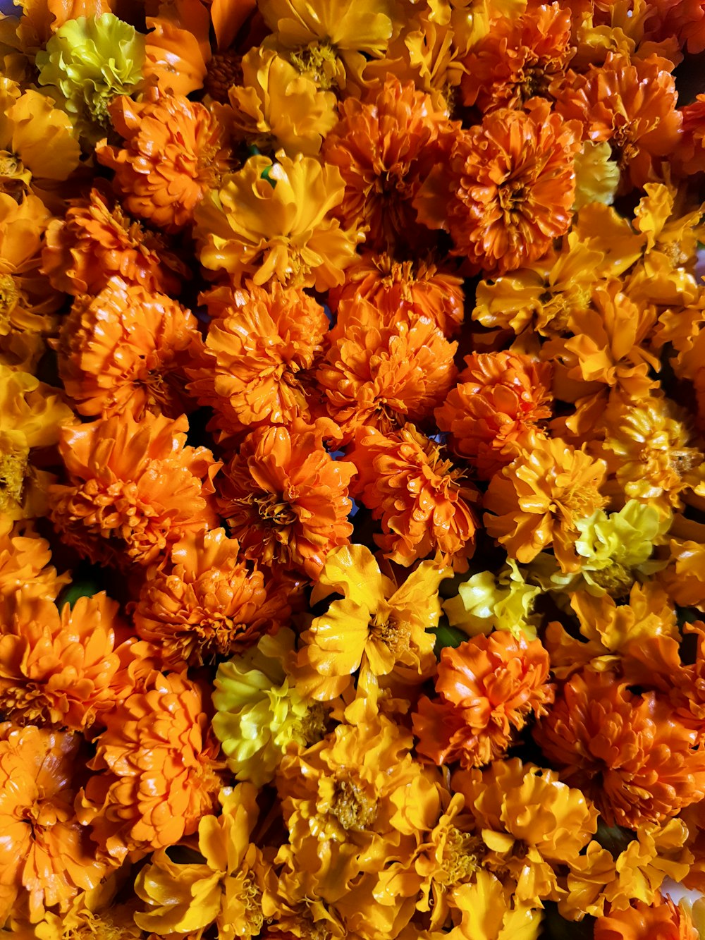 a bunch of orange and yellow flowers on a table