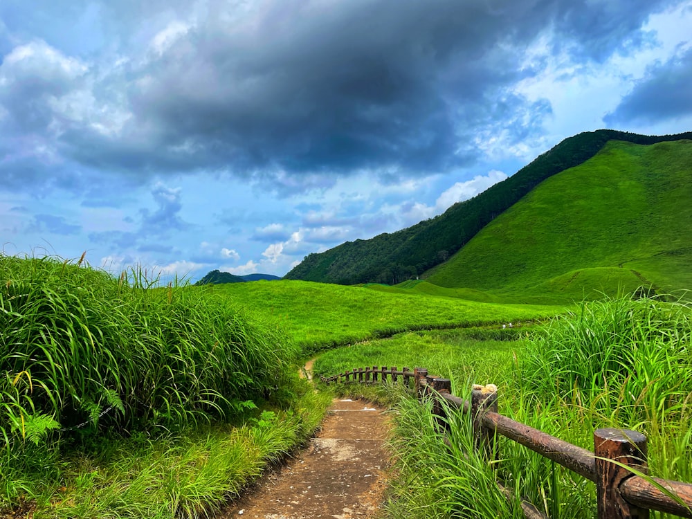 a path leading to a lush green hillside
