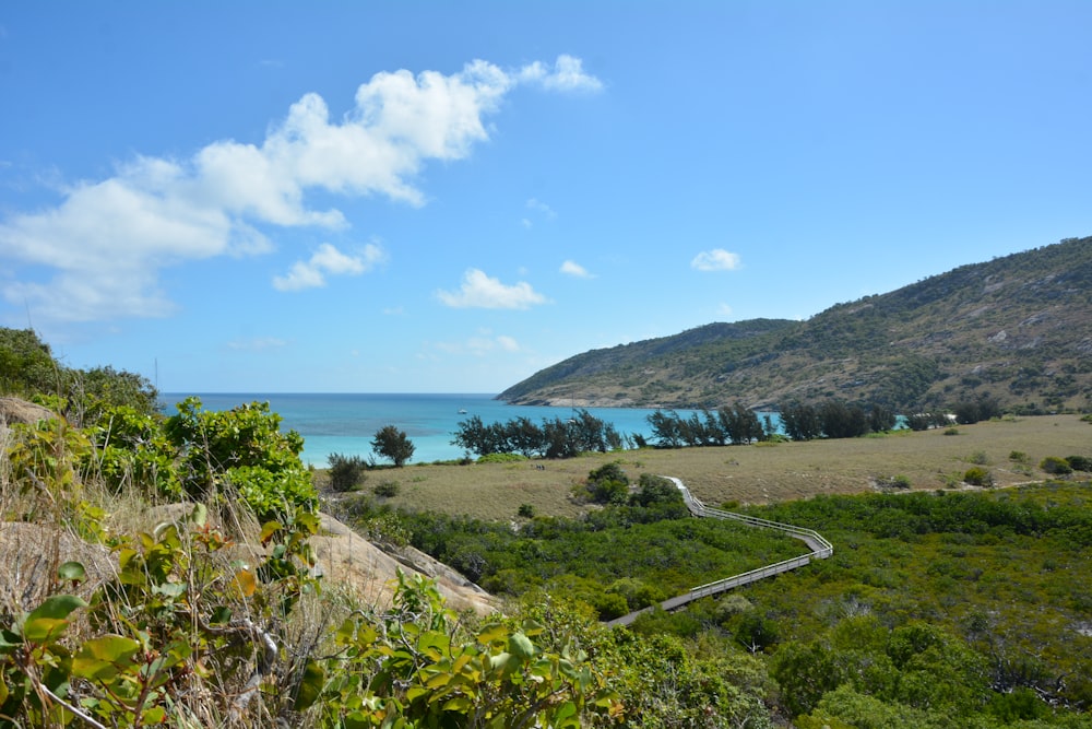 Una vista panoramica dell'oceano da una collina