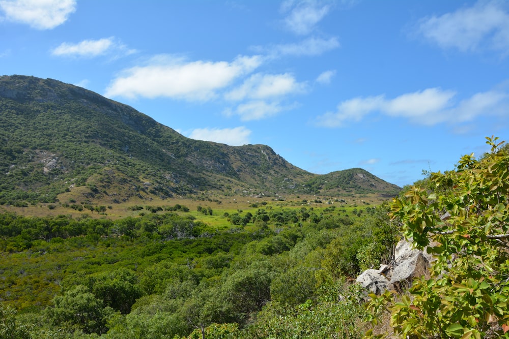 a view of a lush green valley with mountains in the background