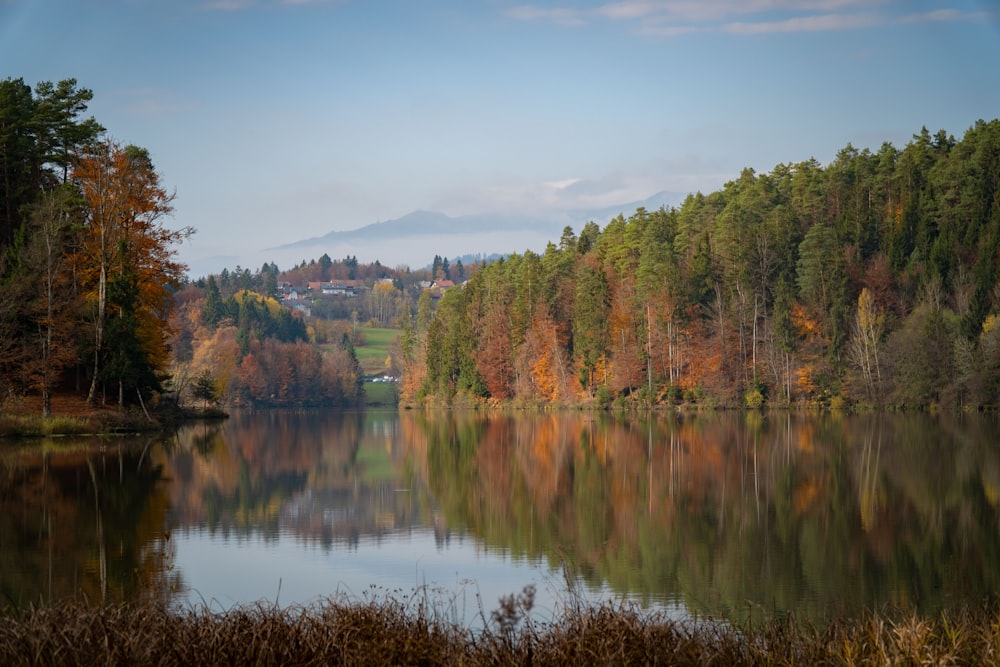 a lake surrounded by trees with a mountain in the background