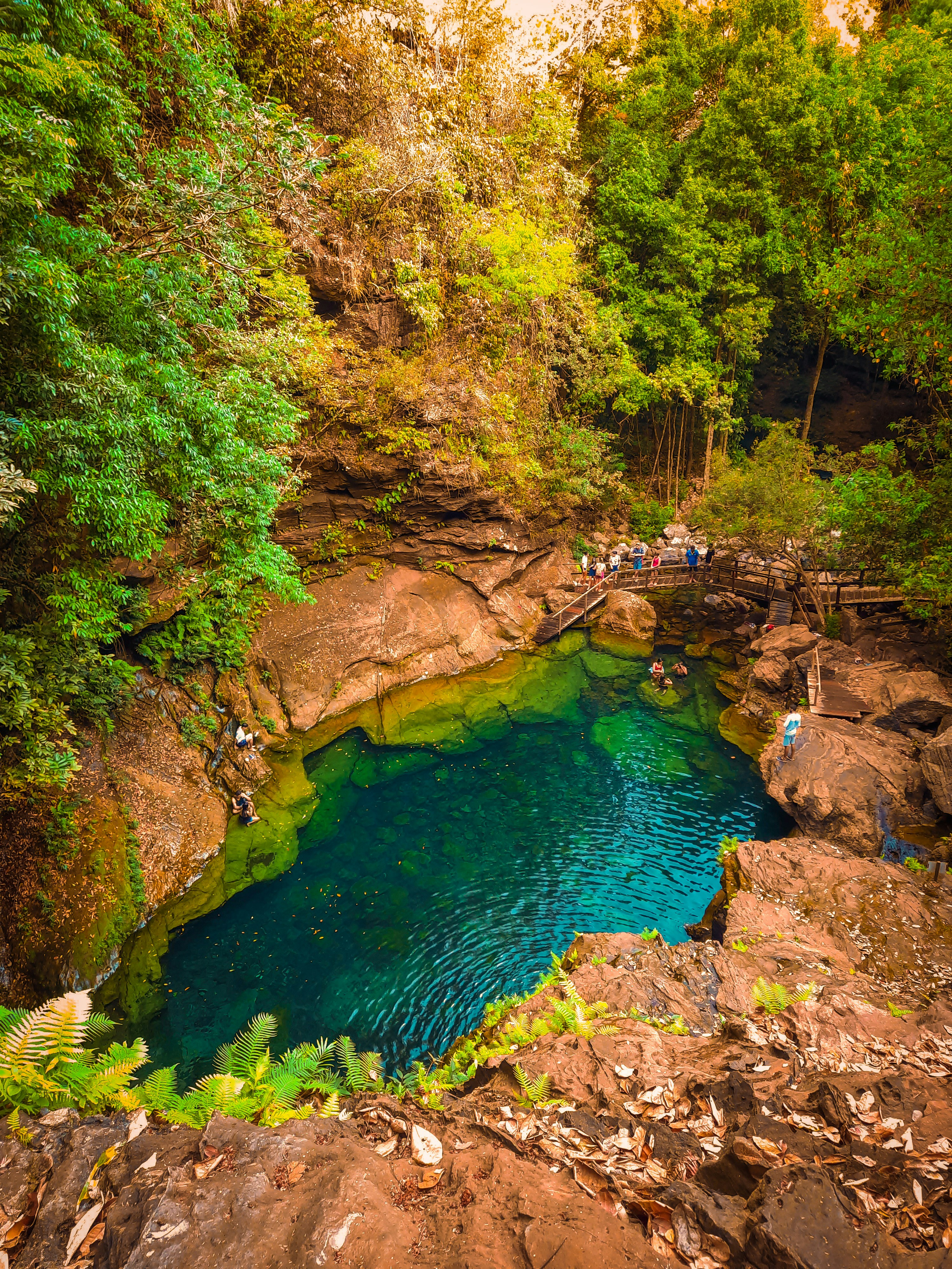 summer camp landscape, wallpaper, Severe Weather Safety Drills for Summer Camp 3