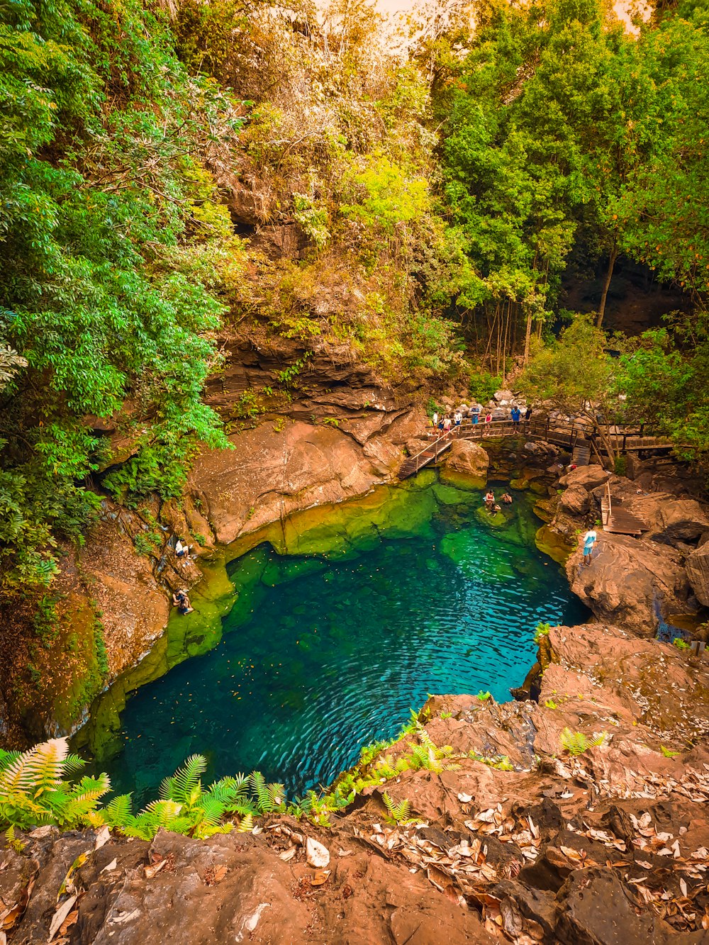 a pool of water surrounded by trees and rocks