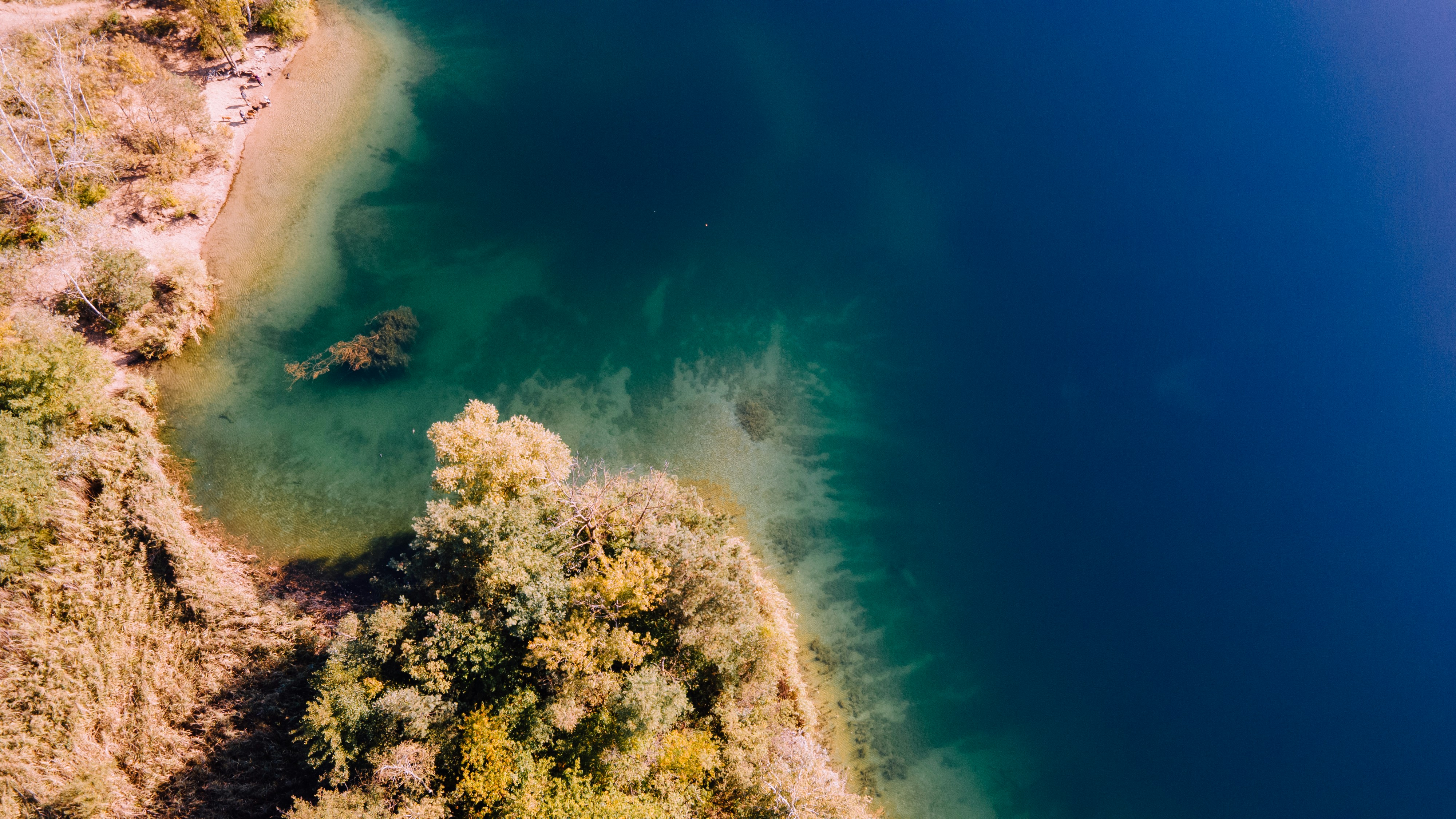 red algae wallpaper, wallpaper, 5 Manfaat Astaxanthin untuk Kulit yang Perlu Diketahui 5