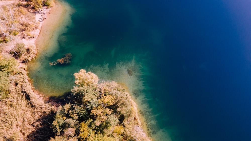 an aerial view of a body of water surrounded by trees