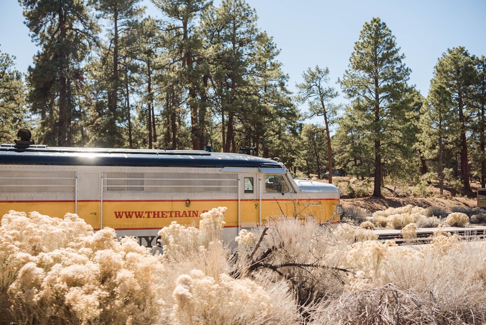 a yellow and white train traveling through a forest