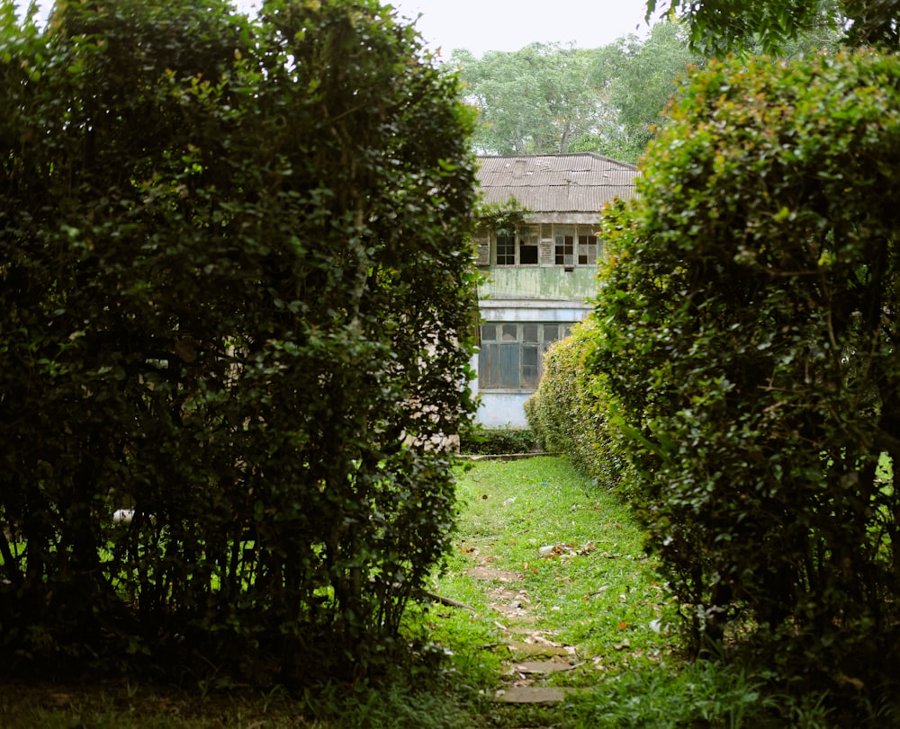 a view of a house through some bushes