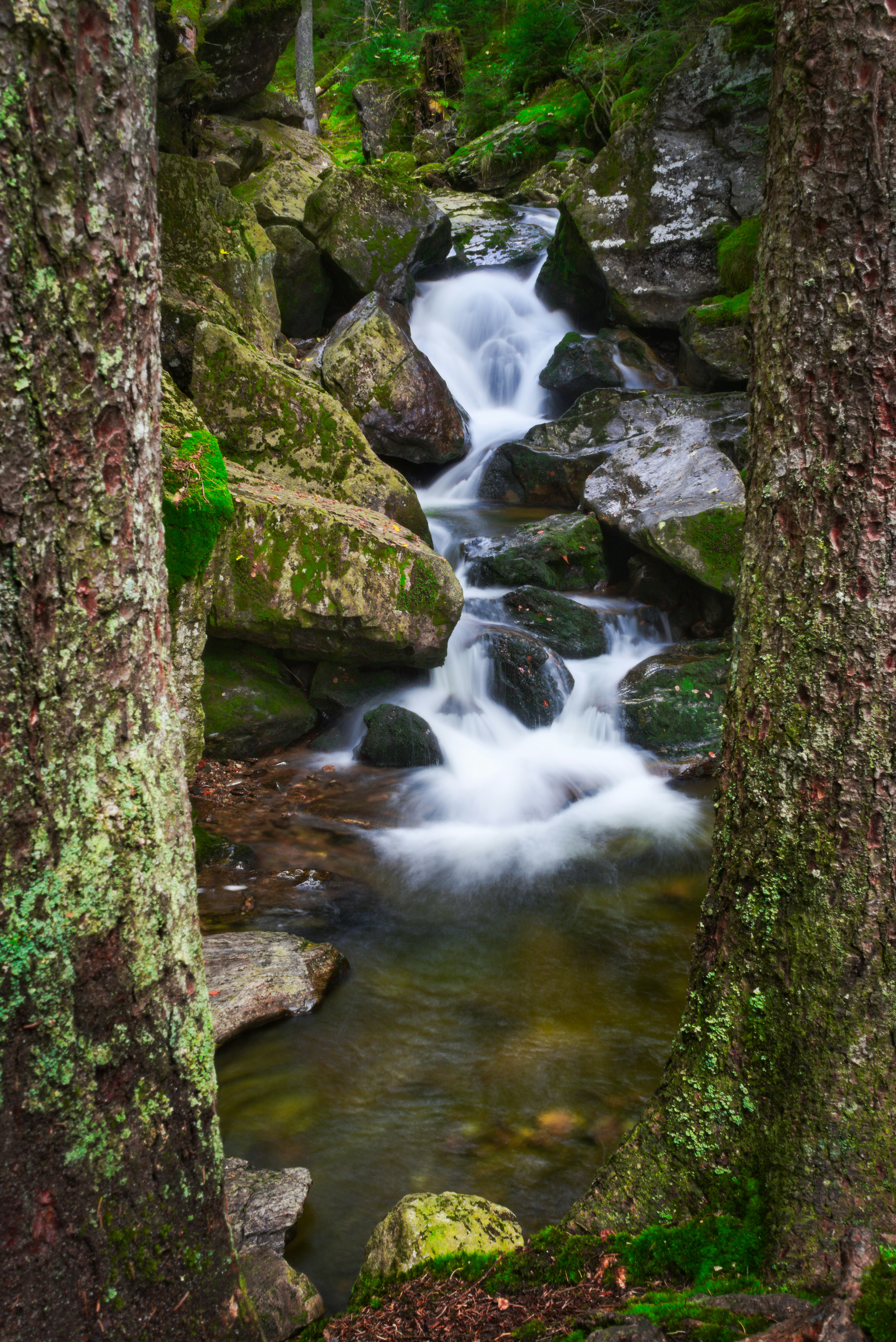 Photo by raik_digital