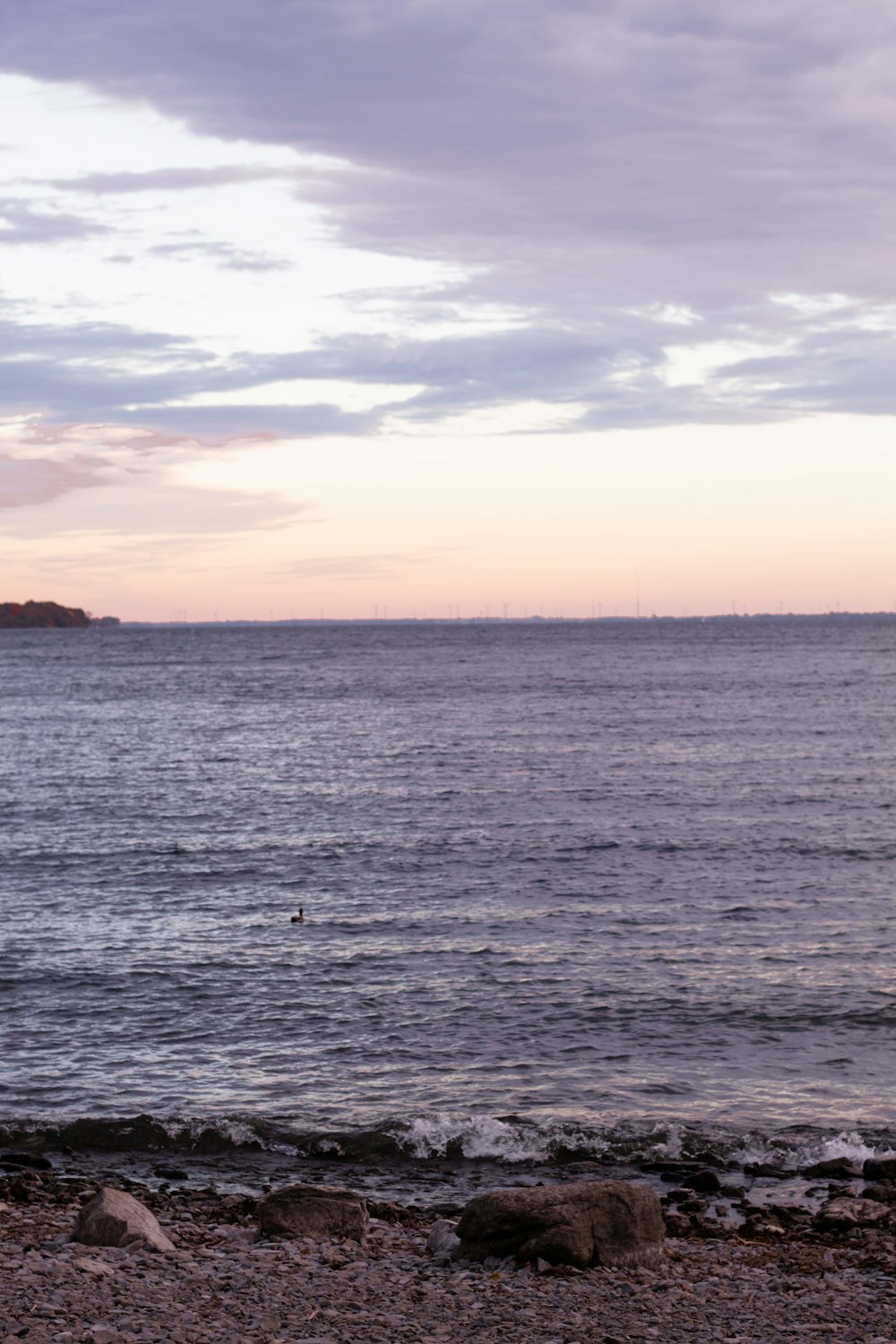 a person standing on a beach with a surfboard