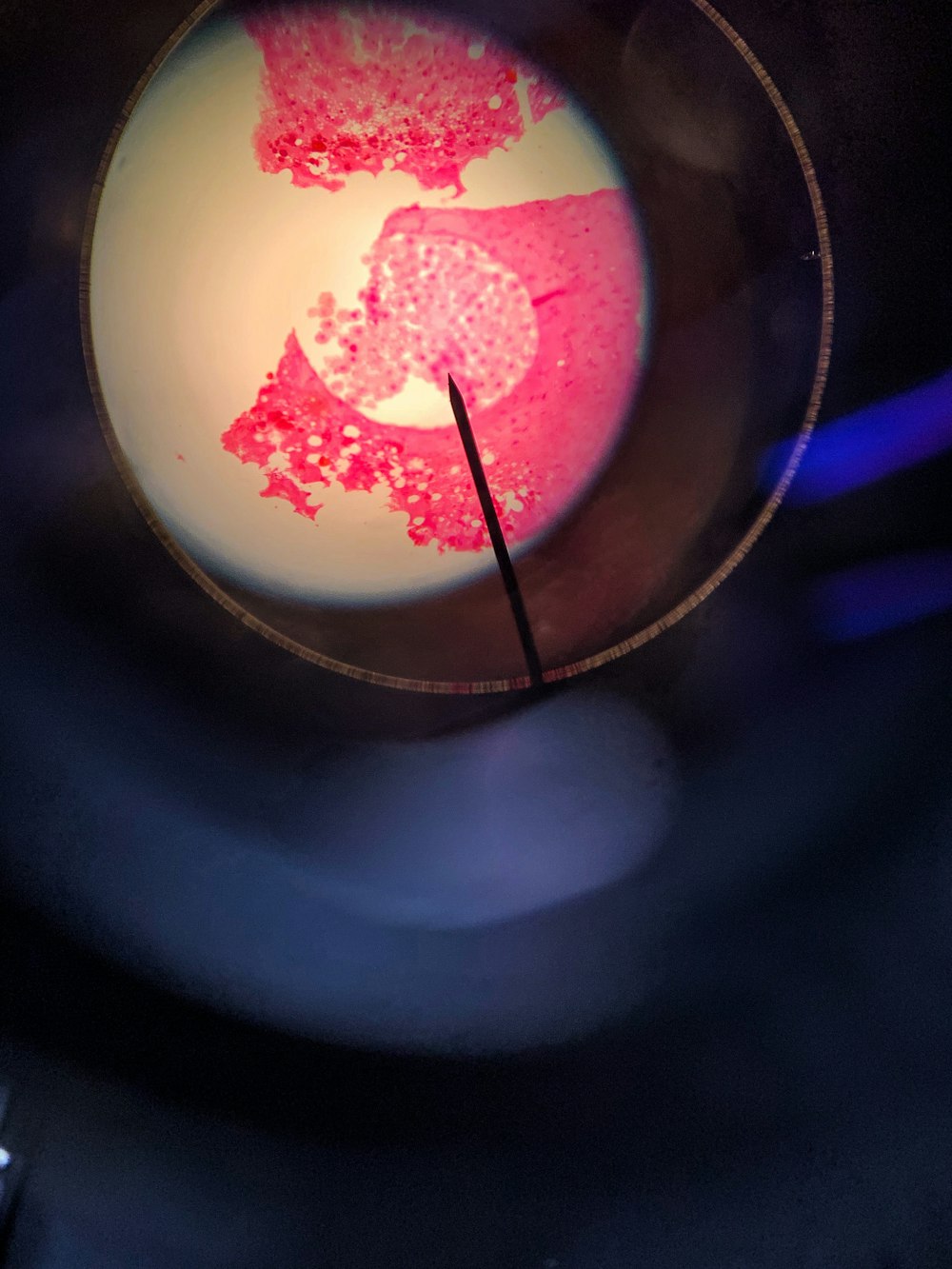 a close up of a plate with food on it