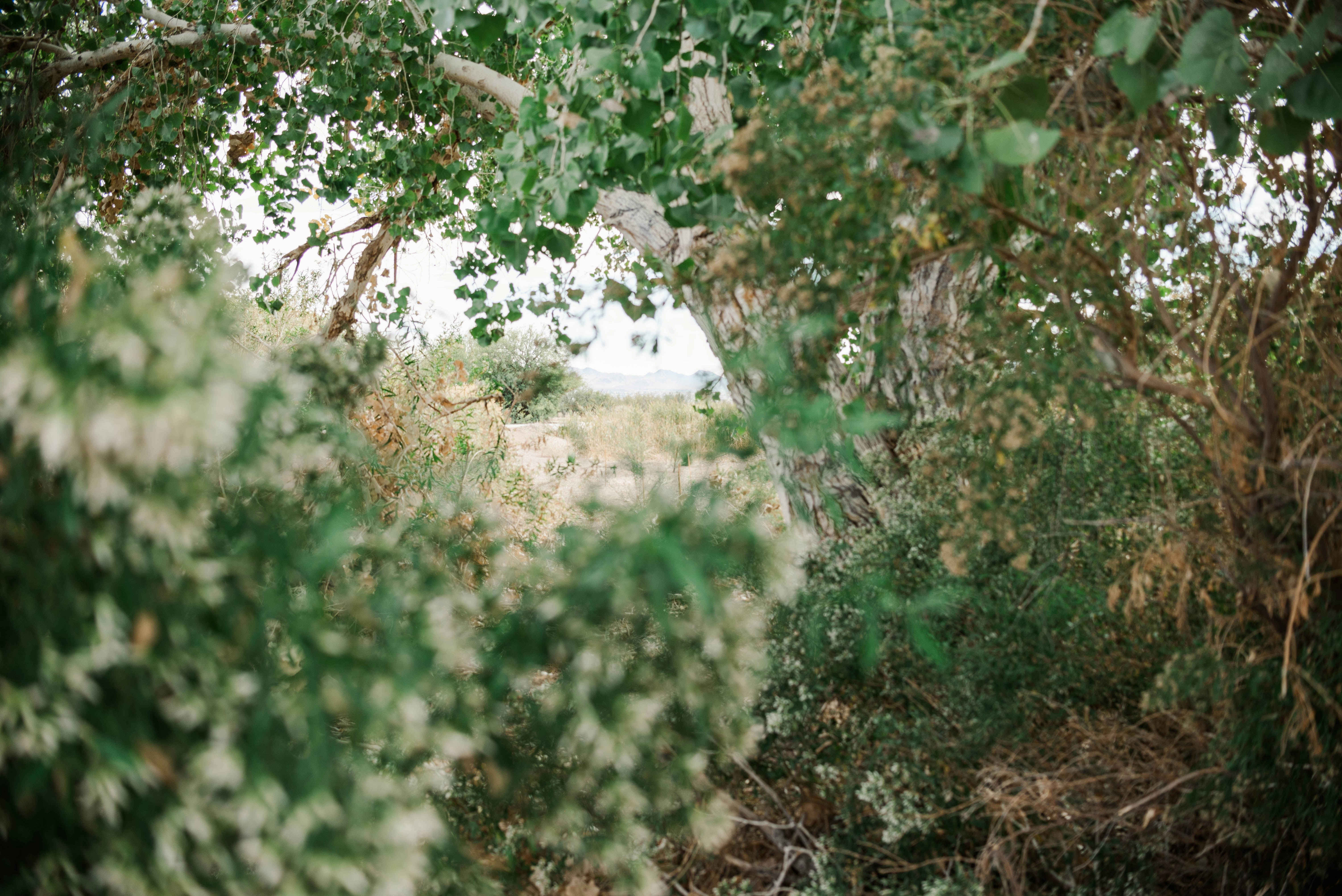 Photo by wack8767