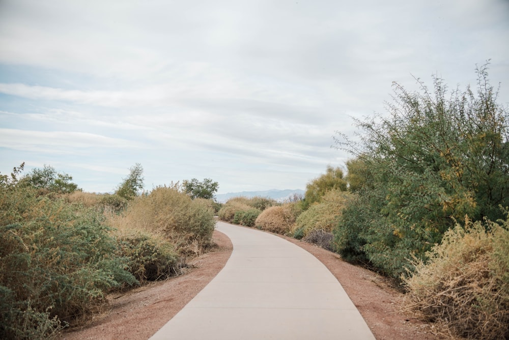 a paved path in the middle of a desert