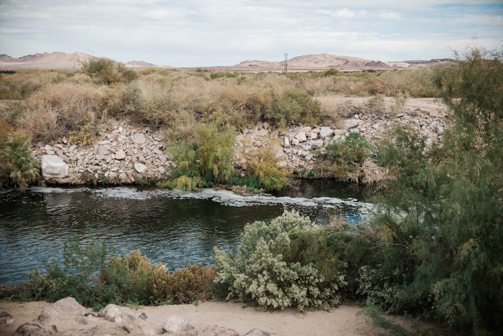 a river running through a dry grass covered field