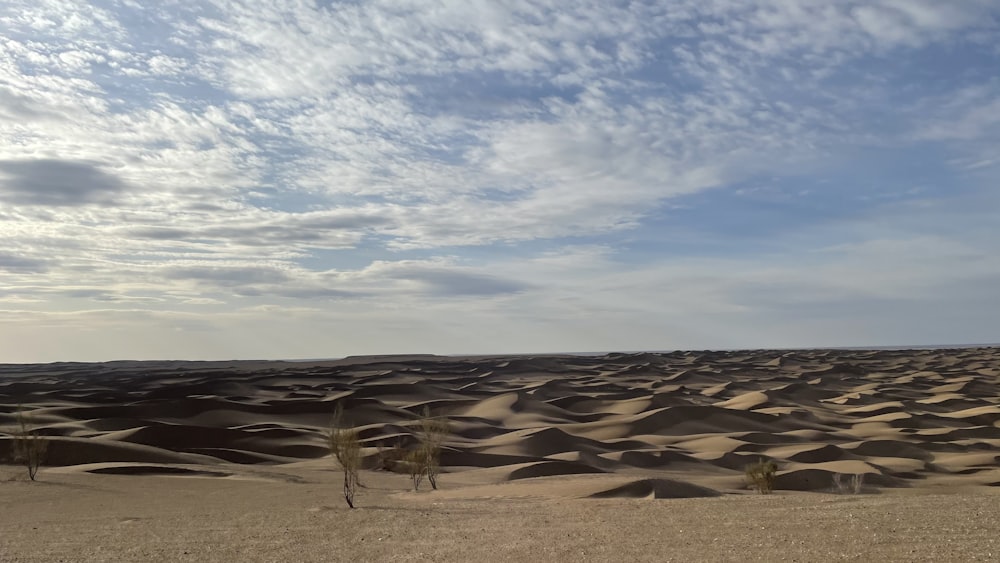 a vast expanse of sand dunes under a cloudy blue sky
