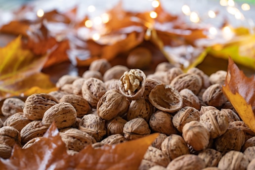 a pile of nuts sitting on top of a pile of leaves