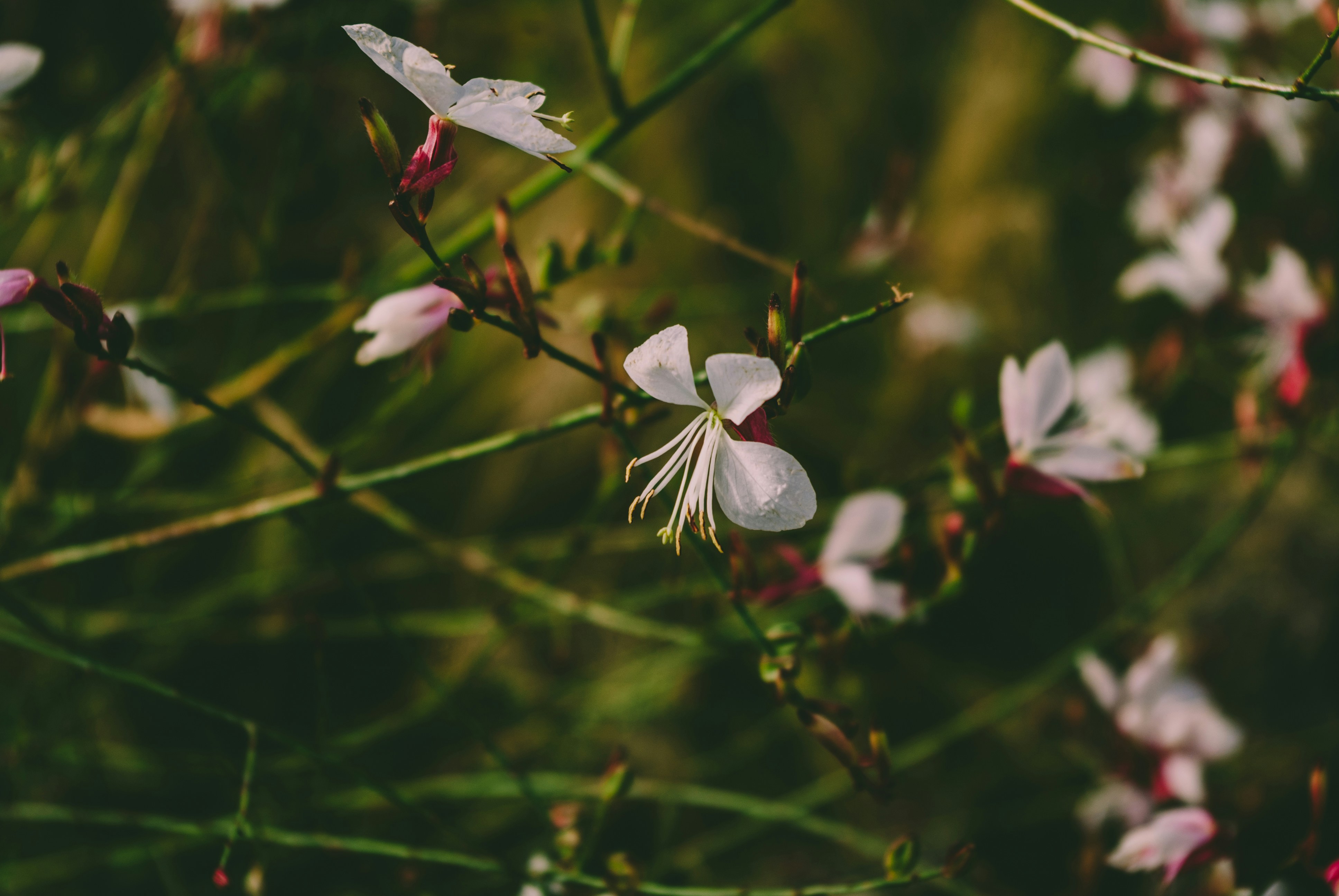 Photo by moonmoons_days