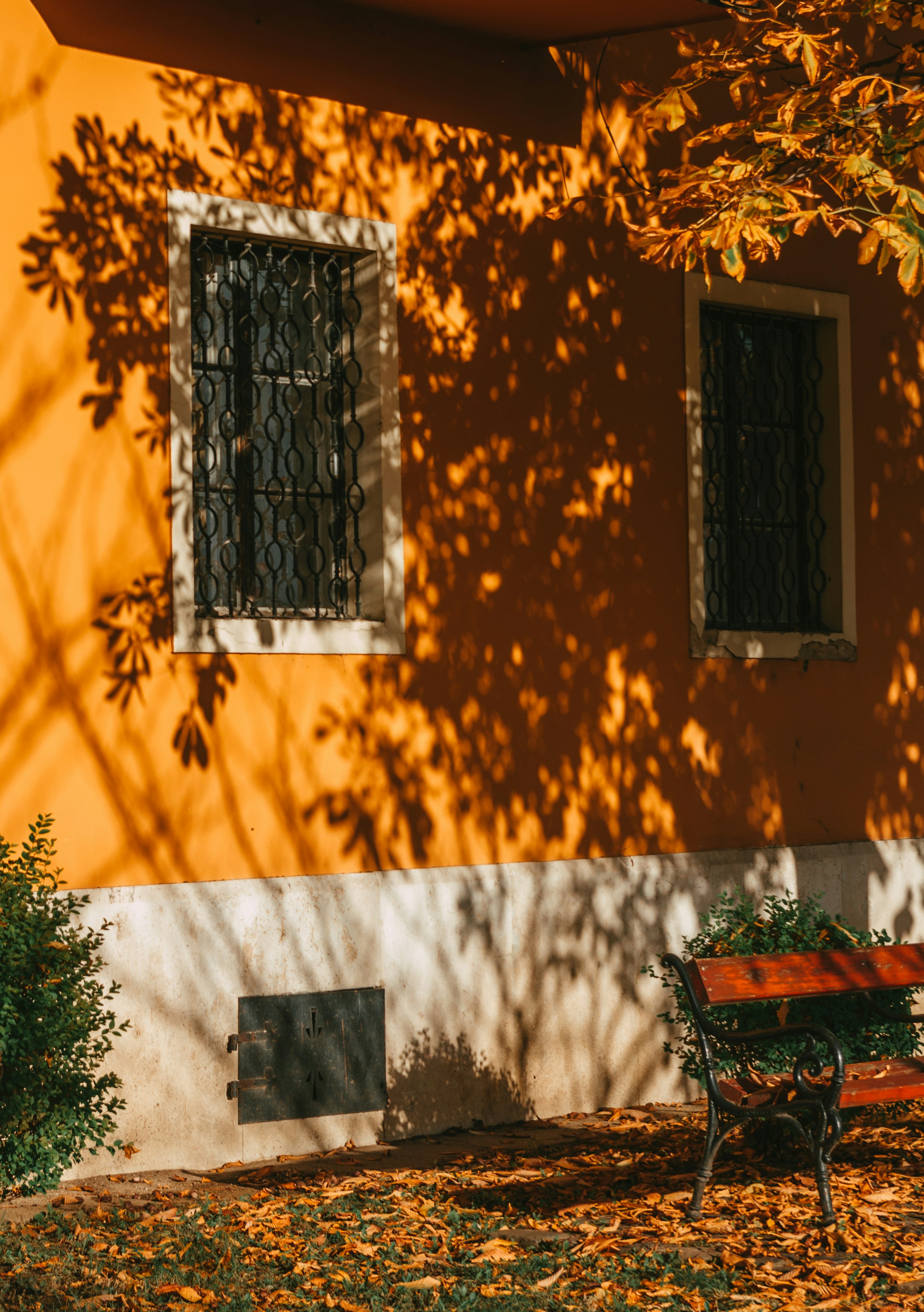 Photo by moonmoons_days