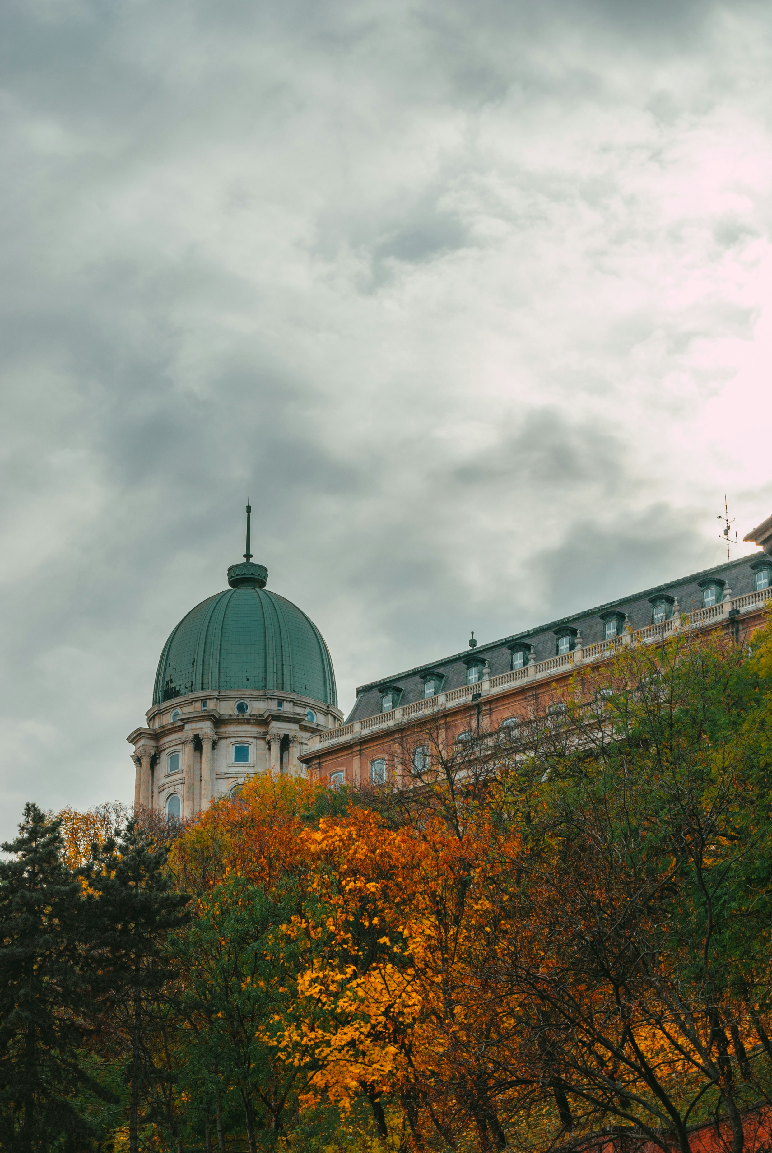 Photo by moonmoons_days